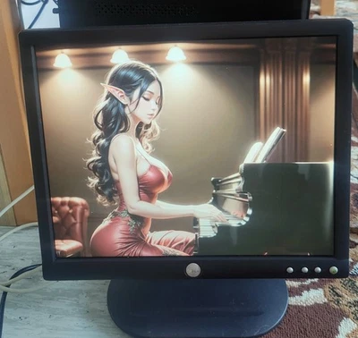 alte Monitor (2) DELL E193FP VGA LCD 19 Zoll (1280x1024) 60fps - Bild 1 von 4