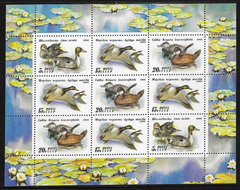 JWSTAMPS Russia Ducks Souvenir Sheet 6011a. MNH. No Faults. Closeout - Image 1 of 1