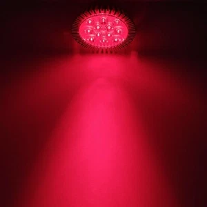 36W 640nm~650nm PAR38 Red LED Lamp Spot Light Bulb for Therapy Plant E27 E26 - Picture 1 of 8