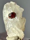 53 Carat Garnet Crystal With Quartz Specimen From Skardu Pakistan