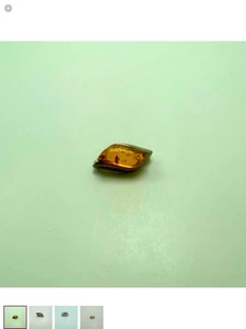 Vintage Baltischer Bernstein mit Insekteneinschlüssen in Silber Brosche/ Anstecknadel - Bild 1 von 4