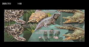 Vida silvestre, especies en peligro de extinción, CITES, reptil, tortuga, cocodrilo, serpiente, Corea 2025 - Imagen 1 de 1