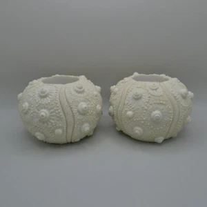 2 portacandele ricci di mare corallo tealight 3D spiaggia costiera crema resina B&D 4"+ - Foto 1 di 15
