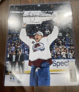 Erik Johnson Autographed Raising Stanley Cup Photograph - Picture 1 of 2