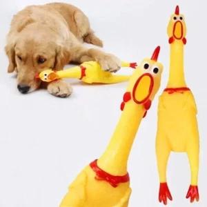 Squeaker Funny Screaming Shrilling Chicken Toy Squeeze Rubber Pet Dog Chew 30cm - Picture 1 of 13