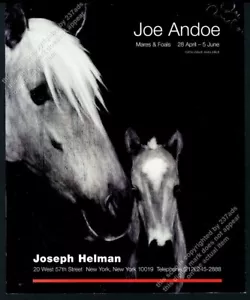 Joe Andoe 1999 2 caballos arte galería Nueva York exposición anuncio impreso vintage - Imagen 1 de 7