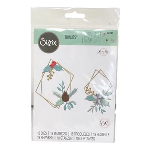 Sizzix Thinlits GEOMETRISCHER WINTERRAHMEN von Olivia Rose Stanzformen 664583 NEU - Bild 1 von 7