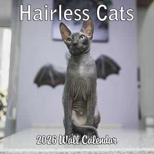 Calendario de pared mensual para gatos sin pelo 2026 | 12" X 24" | Calendario para gatos Sphynx - Imagen 1 de 12