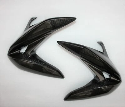 Empuñaduras de radiador MV AGUSTA BRUTALE 800 DRAGSTER 2017 2018 2019 2020 carbono Foto 1 de 2