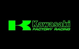 Green Kawasaki Factory Racing sticker / decal , 800mm x 127mm - Picture 1 of 7