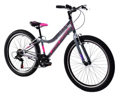 breluxx® 24 Zoll Mountainbike Capriolo Diavolo Sport , Shimano 6 G - grau lila - Bild 1 von 4