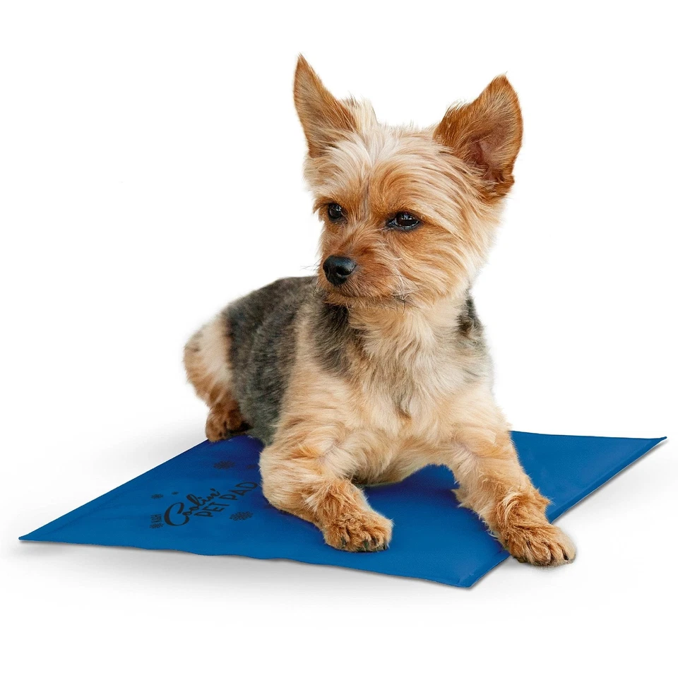 K and H Manufacturing Coolin' Pet Pad Small Blue 11 X 15