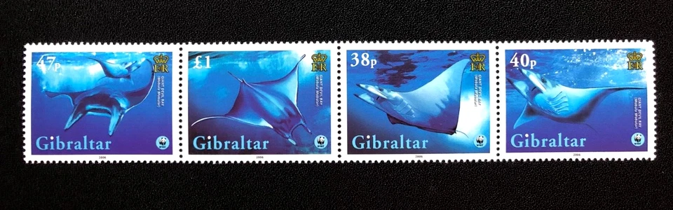 GIBRALTAR 2006 FISH, RAYS, MARINE LIFE, WWF  Sc 1037 MNH - Image 1 of 1