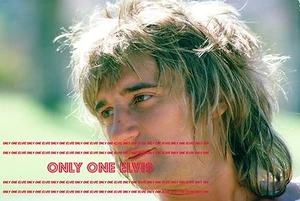 1973 RARE SUPERSTAR Singer ROD STEWART Poolside UP-CLOSE & UNSEEN 15 - Picture 1 of 1