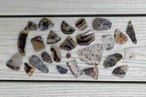 Collection of Lovely Polished Gem Stones Montana Moss Agate - Picture 1 of 7