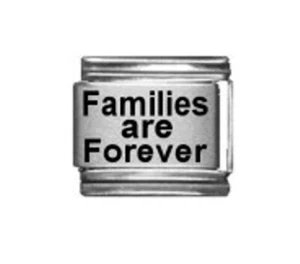 9 mm Dije Italiano L39 Families are forever Fits Pulsera Talla Clásica - Imagen 1 de 2