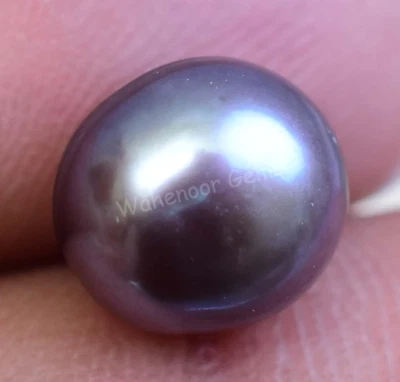 4.40 Ct Natural Tahitian Gray Blue South Sea Pearl AGL Certified Untreated Gems - Image 1 of 4