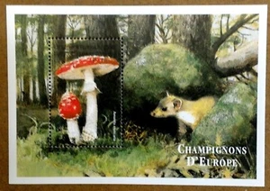 VINTAGE CLASSICS - Comoros 1999 - Amanita Mushrooms - Souvenir Sheet - MNH - Picture 1 of 1