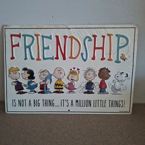 Peanuts Freundschaft Blechschild Neu aus altem Lagerbestand Charlie Brown Snoopy Geschenk Deko Cartoon LESEN - Bild 1 von 12