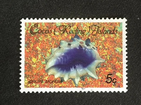 1985 COCOS KEELING ISLANDS SHELLS 5C DRUPA MORUM - VERY FINE USED Cover