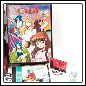 FM-TOWNS CAL 3 Kanketsu gallina The Last of Messege archivo de imagen está incluido japonés - Imagen 1 de 9