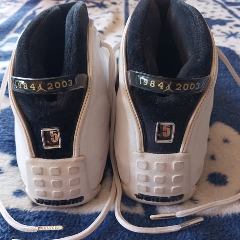 Nick Air Jordan .5 Shoes Cover