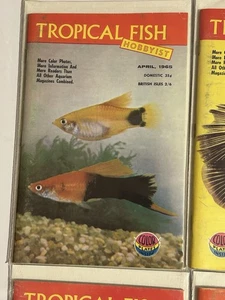 Tropical Fish Hobbyist 1965 Lot of 5 Vintage Aquarium Magazines African Fish  - Imagen 1 de 6