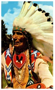 Indian Chief Traditional Dress Posted Dubois WI 1977 Vintage Chrome Postcard - Picture 1 of 3