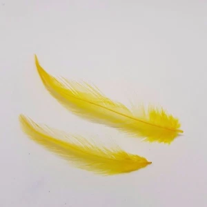 GALLO GIALLO / COCK HACKLE 50 PIUME FLYNSCOTSMAN TACKLE SCIOLTO SENZA MANTELLO - Foto 1 di 3