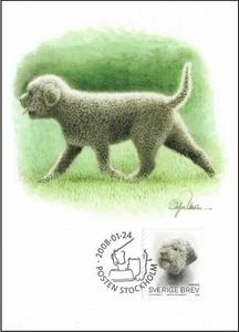 Romagnolo Lagotto Dog Sweden Mint Maxi FDC Card 2008 - Picture 1 of 1
