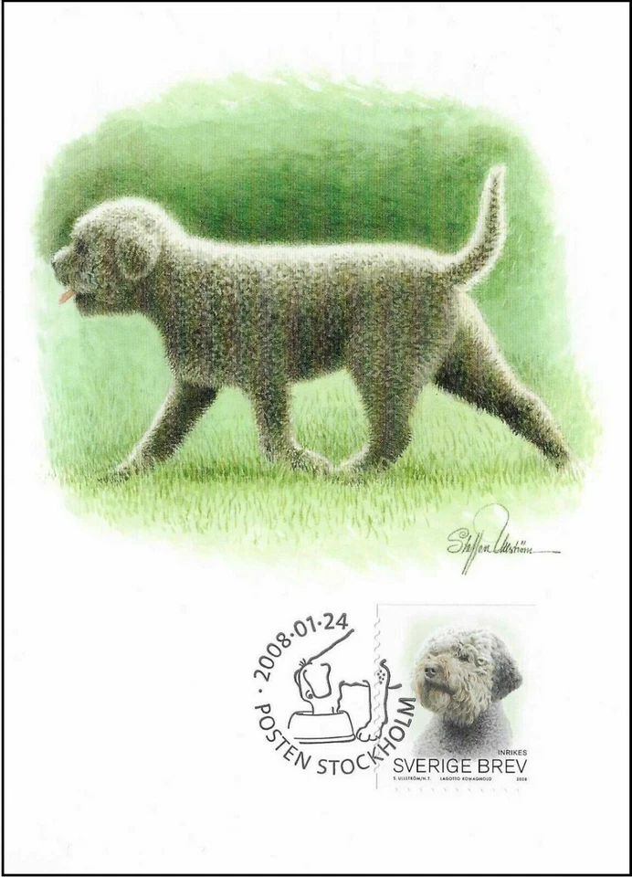 Tarjeta Maxi FDC 2008 Romagnolo Lagotto Dog Suecia como nueva Foto 1 de 1