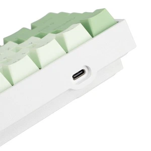 61 Key Mechanical Keyboard Blue Switch RGB Multi Coloring Modes USB C Wire CEL - Picture 1 of 12