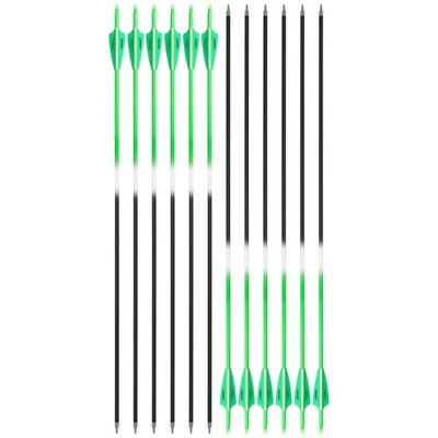 30" Carbon Arrows SP500 3" Rubber Vanes Archery Recurve Bow Compound Bow Hunting - Image 1 of 4