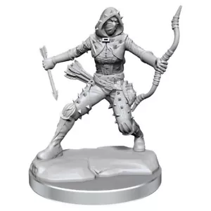 HUMAN ROGUE MUJER Wizkids Dungeons & Dragons Frameworks Miniaturas WZK75038 - Imagen 1 de 3