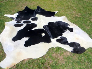 GROSS! NEU! SCHWARZ & WEISS Kuhfell Teppich Natur Kuhfelle Kuhfell Fell 6X6 FUSS BS - Bild 1 von 6