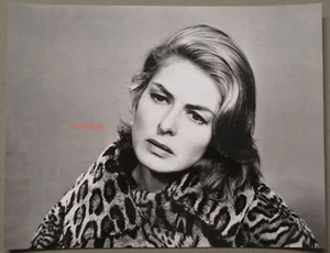 Ingrid Bergman in Leopard 7x9 Black & White Photo~The Visit 1964 - Picture 1 of 2