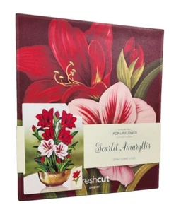 Freshcut Paper Life Sized 16 inch Pop Up Cards, Scarlet Amaryllis Flower Bouquet - Picture 1 of 4