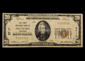 1929 National Currency 20 Dollar Bill NEGAUNEE MI Super Low Serial Note 000056 - Picture 1 of 10