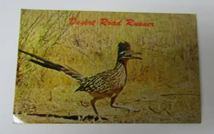 Animal Pájaro Desierto Correcaminos Desierto Payaso Postal Antigua Tarjeta De Colección Ver Poste - Imagen 1 de 2