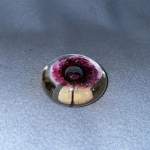 Pfeiffer Flower Brilliant Crystal Art Glass 2” Paper Weight Handmade Holland UC - Picture 1 of 6