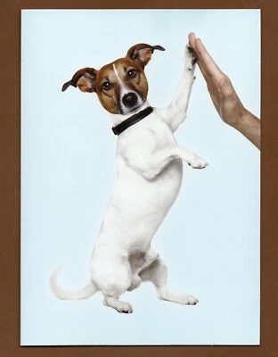 Dog Congrats Greeting Card, High Five, Graduation Retirement 7" x 5" - Image 1 of 3