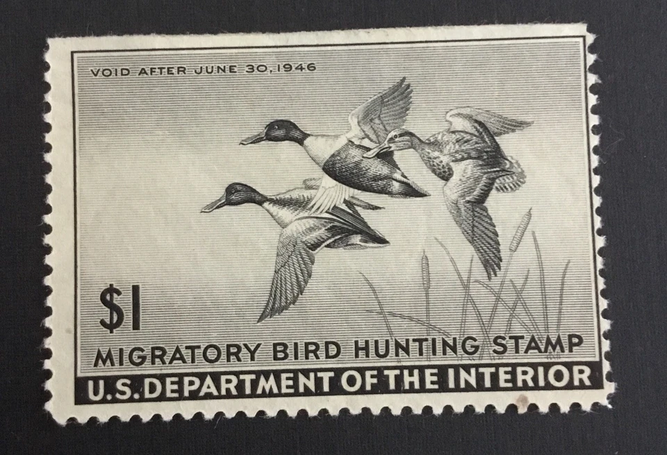 US DUCK HUNTING STAMP -  SCOTT# RW12 - MINT DIST. GUM - STRAIGHT EDGE - SCV: $25 - Image 1 of 2