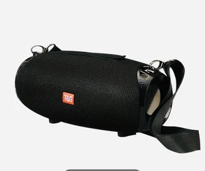 TG-534 OUTDOOR PORTABLE SPEAKER - AMAZING SOUND & RANGE! - Picture 1 of 3