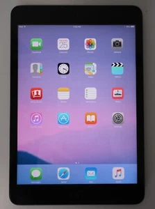 Apple iPad Mini A1432 1st Gen Black 7.9 inch Touch Screen IPS LCD Wi-Fi Tablet - Picture 1 of 12