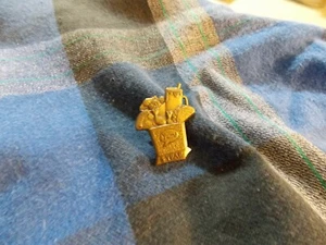 PIN DE SOLAPA PREMIO YUM COMIDA RÁPIDA PEPSICO 5 AÑOS 1/8" ¡En muy buen estado! - Imagen 1 de 3