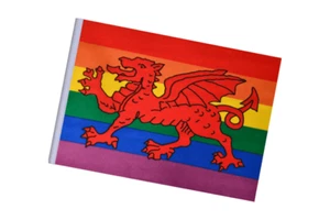 Kleine Flagge Regenbogen Wales - ideal zum Basteln - 23 cm x 15 cm - Bild 1 von 3