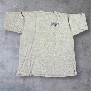 Vintage Starter Embroidered Arizona Diamondbacks Inaugural Gray Shirt Men’s Xl - Picture 1 of 5