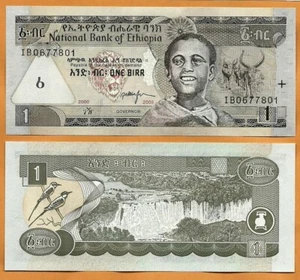 ETHIOPIA  2008 UNC 1 Birr Banknote Paper Money P- 46e   Boy, Tisisat waterfalls - Picture 1 of 1