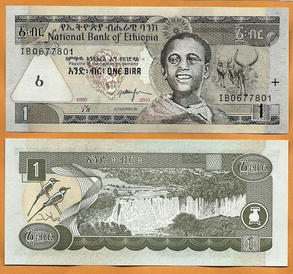 ETHIOPIA  2008 UNC 1 Birr Banknote Paper Money P- 46e   Boy, Tisisat waterfalls - Image 1 of 1