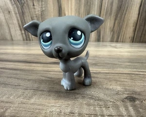 Littlest Pet Shop Authentic # 319 Gray Greyhound Teal Eyes LPS Hasbro - Bild 1 von 7